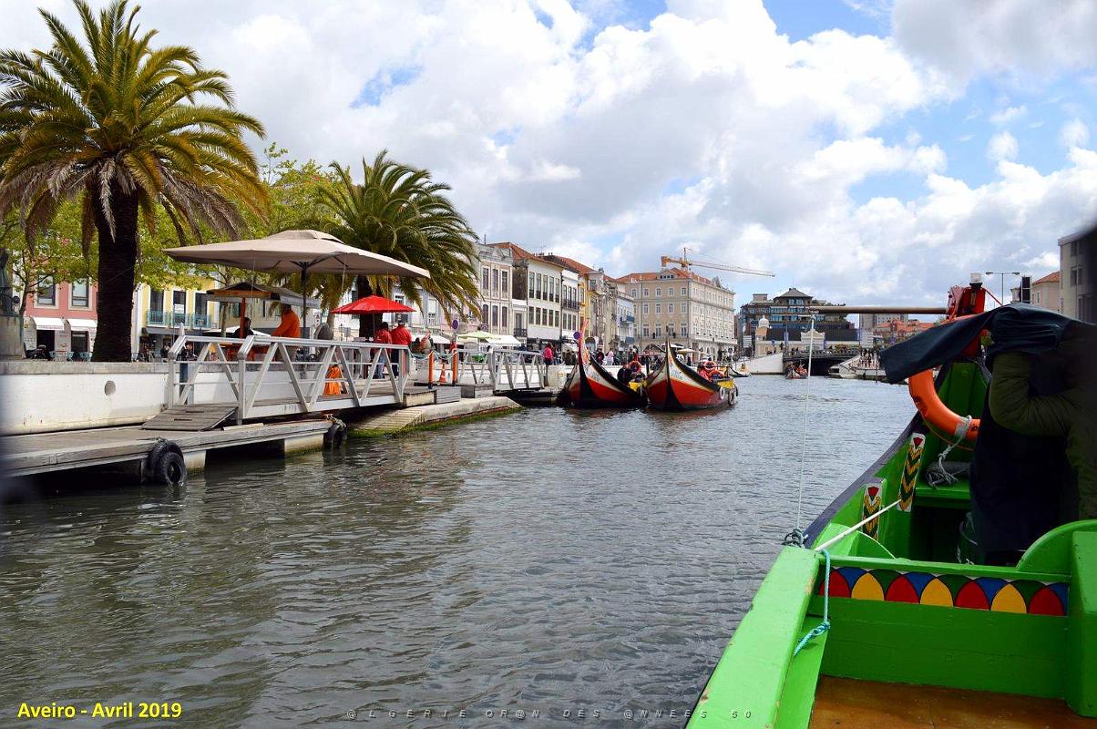 1365 - Aveiro.jpg